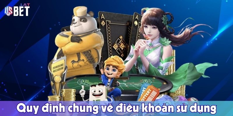 Quy dinh chung ve dieu khoan su dung