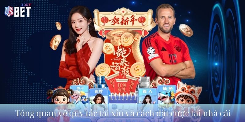 Tổng quan về luật chơi tài xỉu và cách đặt cược tại nhà cái